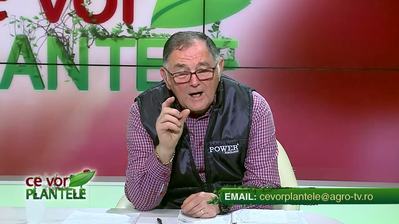 VIDEO Dr. Ing. Horia Ghibu - Cum scăpăm de molii și gândacii de bucatarie 1 VIDEO Dr. Ing. Horia Ghibu - Cum scăpăm de molii și gândacii de bucatarie YouTube player