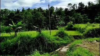 Download lagu DJ SAHUR SAHUR PALING HOREGG NROTOK COCOK BUAT BANGUNIN ORANG SAHUR