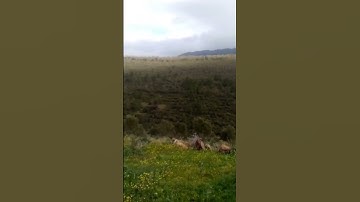 سورة النبأ العظيم #المغرب #اكسبلور #قران_كريم #قراءة_مغربية #مكناس