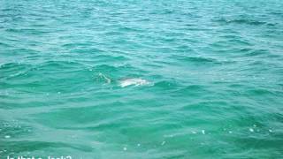 Belize: March 2015
