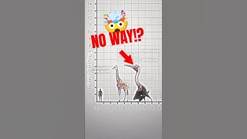 LARGEST FLYING ANIMAL: PTEROSAURS SIZE COMPARISON