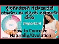 How to conceive naturally  ovulation