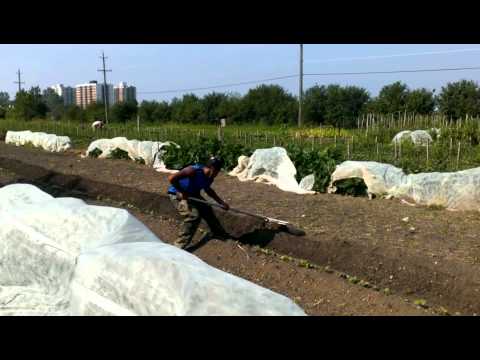 Extraordinary Landscape Rake Use You Extraordinary Landscape Rake Use