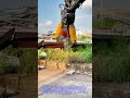 Die Kunst des industriellen Metallrecyclings mit Doppelzylinder-Schneidern