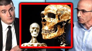 Why humans won against neanderthals | Yuval Noah Harari and Lex Fridman