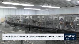 Lead Ridglan Farms veterinarian surrenders license