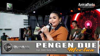 PENGEN DUE MERTUA - DIAN ANIC - ANICA NADA SIANG 12 FEBRUARI 2023 DESA TEGALSARI PLERED CIREBON