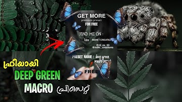 free lightroom deep green macro preset download | #presets #6trending #editing #lightroom #asifomar