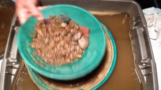 GoldHog.com Raw Bag Gold Paydirt Review #4