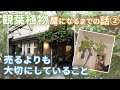観葉植物屋になりたい人へ、一番大事なこと【コトハの歴史:後半】