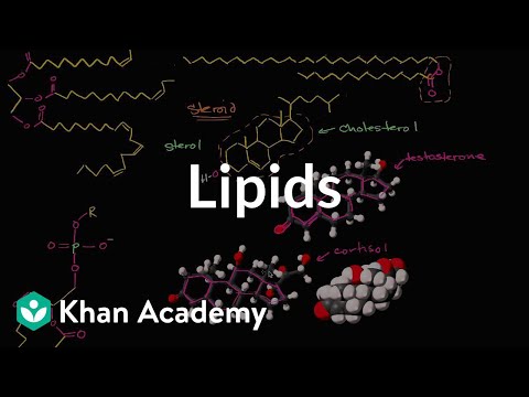 Video: Je Cholesterol Steroidom?