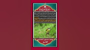 فَٱخۡتَلَفَ ٱلۡأَحۡزَابُ مِنۢ بَيۡنِهِمۡۖ - سورة مريم - القارئ محمد صديق المنشاوي  #المصحف#القران