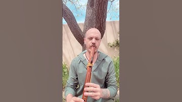 Thumbnail of Heart Chakra 💚 Healing #soundhealing #reiki #nativeamericanflute #flutemusic #energyhealing