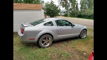 How To Remove Mouse Pee Smell From Car