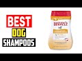 ✅Top 5 Best Dog Shampoos 2025