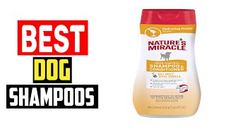 ✅Top 5 Best Dog Shampoos 2024 by The Pets Products 99 views 1 month ago 5 minutes, 1 second