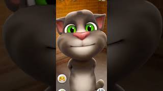Talking Tom Cat Fart