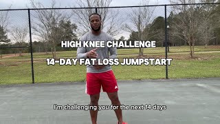 14 Day Fat Loss Challenge Low Impact High Knee Workouts