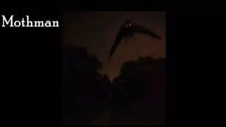 Mothman Sound