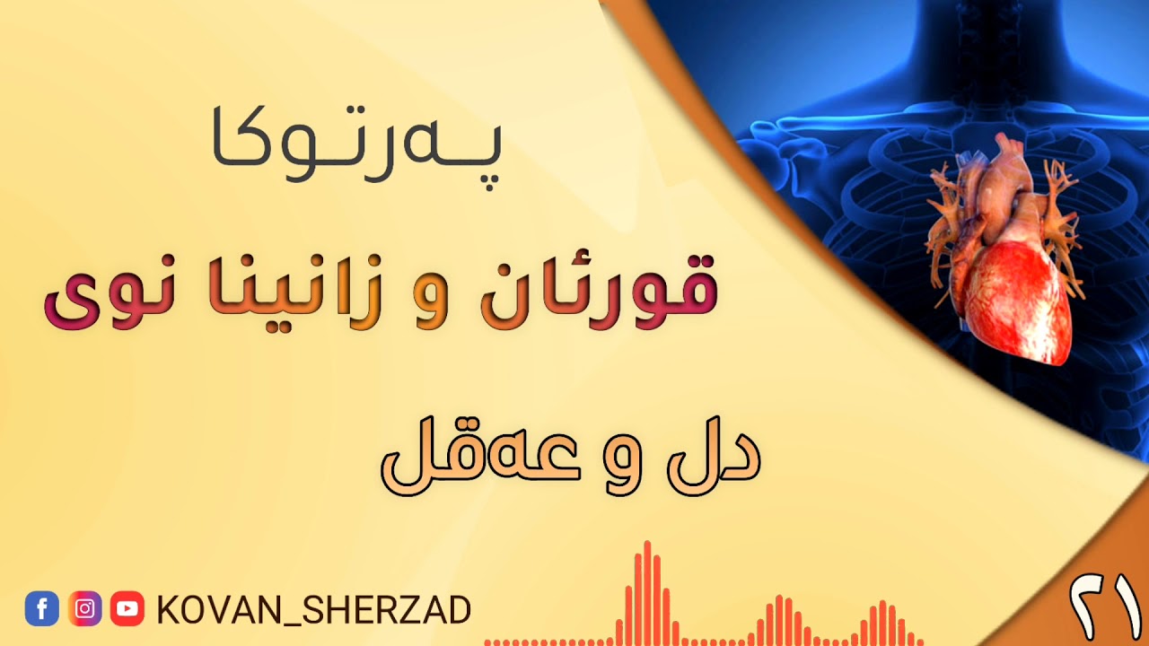 ٢١~ دل و عەقل