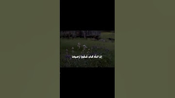سورة الاحزاب | الشيخ بدر التركي |#quran #اكسبلور #قرآن #المصحف #قران_كريم #راحة_نفسية