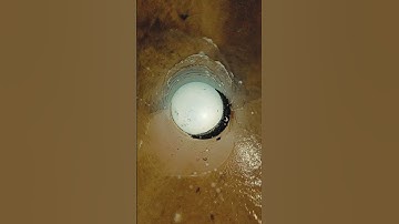 Testing the Insta360 X5 Invisible Dive Case Underwater  #insta360x5 #insta360 #underwatercamera