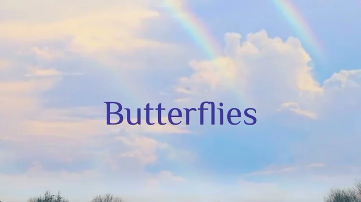 Sean Sia - Butterflies (Official Lyric Video)