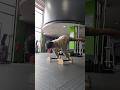 ok straddle planche #calisthenics #planche #gym #gymnast #motivation #streetworkout #fit #muscle