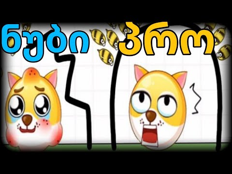 ნუბი თუ პრო! დაიცავი ძაღლი ფუტკრისგან