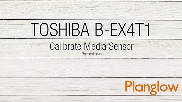 Tec BEX 4 Calibrate Media Sensors Transmissive