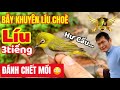 By khuyn lu 3ting  lu cho v nh cht mi qu gh gm  pleci bird trap  ktb