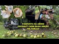 PAGPUNTA SA AMING COCONUT FARM BICOL