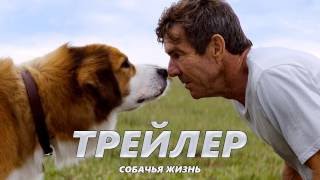 Собачья жизнь - Трейлер на Русском | 2017 | 1080p Собачья жизнь - Трейлер на Русском | 2017 | 1080p