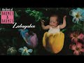 Barnes & Barnes - Zabagabee: The Best Of Barnes & Barnes | Official Trailer