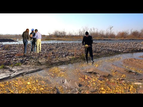 Video: Where Is Gold Mined In Russia