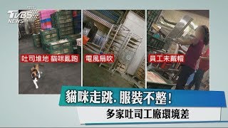 貓咪走跳、服裝不整！多家吐司工廠環境差