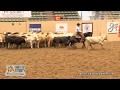 Hesa Royalena Ridden By Clay Volmer 2016 NRCHA Snaffle Bit Futurity Rein Work Open Prelims Hesa Royalena Ridden By Clay Volmer 2016 NRCHA Snaffle Bit Futurity Rein Work Open Prelims