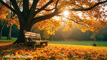 Beautiful Relaxing Music 🍁 Healing Music for Your Heart with Gentle Autumn Melodies