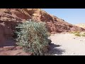 Красный Каньон, Израиль. Israel 2019. Red Canyon.