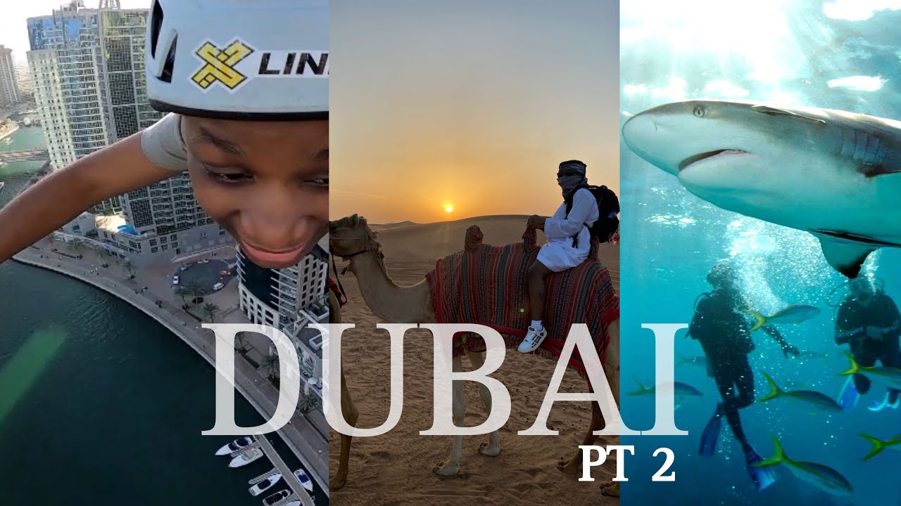 DUBAI Solo Trip (Pt2) Camel Ride, Snorkeling With Sharks, Zipline