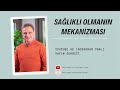 Sağlıklı Olmanın Mekanizması