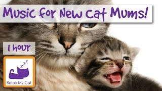 Music for New Cat Mums! Music to Calm Down Kittens and Their New Mums