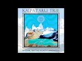 Kalpataru tree  rhythmic fractals of earths imagination  full album