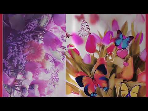 💖-sagar-sang-kinare-hai-🌹-whatsapp-status