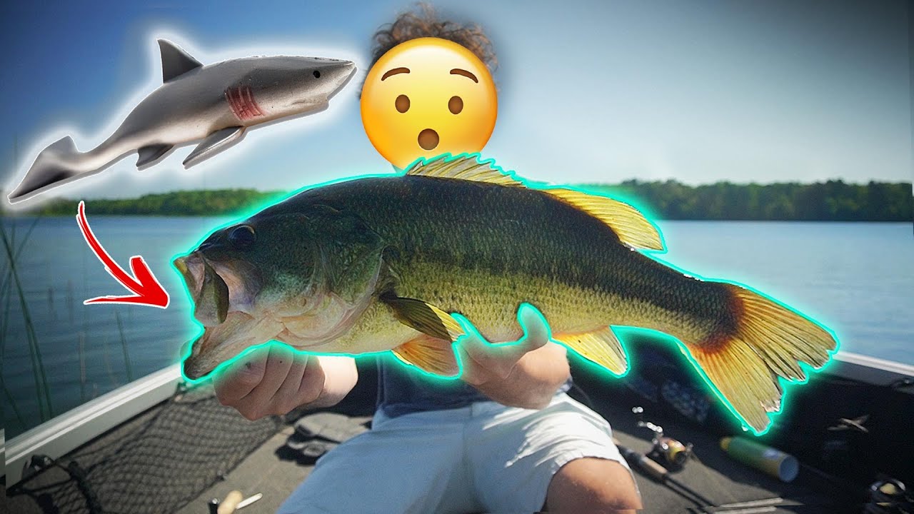 Testing Swedish Swimbait – Big Bass LOVE This Lure!