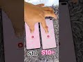 Samsung Galaxy S10 Vs Samsung Galaxy S10 Hand Reboot Up Test mp3