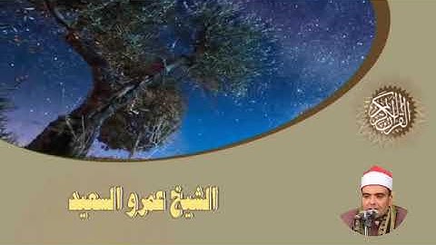 الشيخ عمرو السعيد القارئ بجمهورية مصر العربية