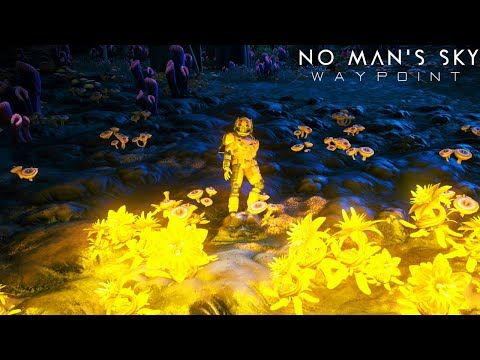 Видео: 2022 No Man's Sky Waypoint. Планы [Прохождение/ ВЫЖИВАНИЕ] #3