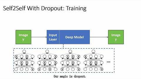Self2Self With Dropout: Learning Self-Supervised Denoising From Single Image