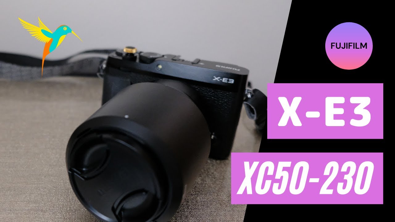 XC50-230mmF4.5-6.7OISⅡ】二万円台で買える望遠ズームレンズで撮る